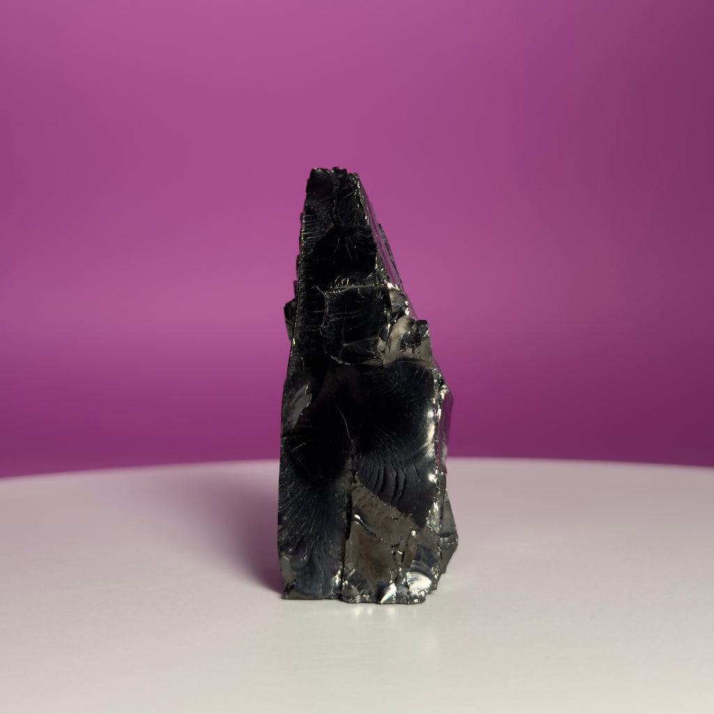 Colombian Elite Shungite Mineral Specimen – 50g