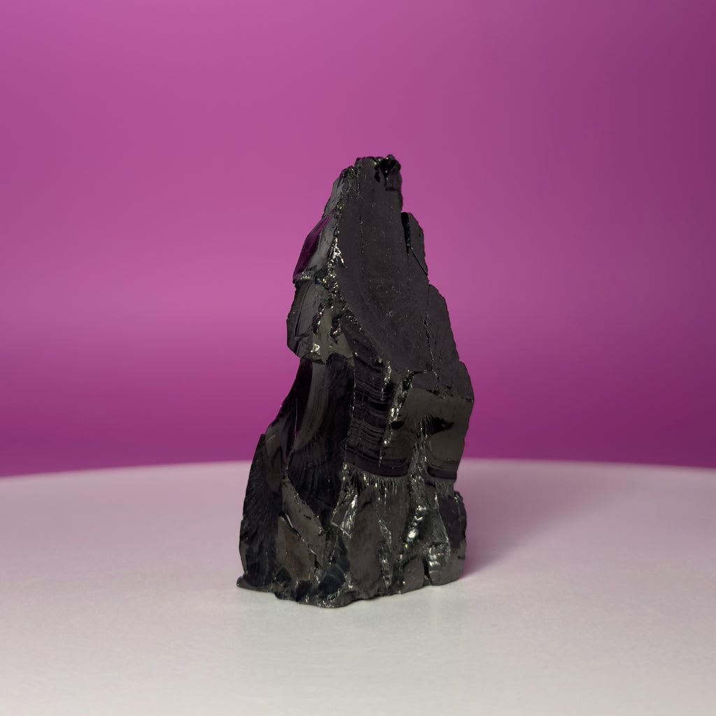 Colombian Elite Shungite Mineral Specimen – 50g