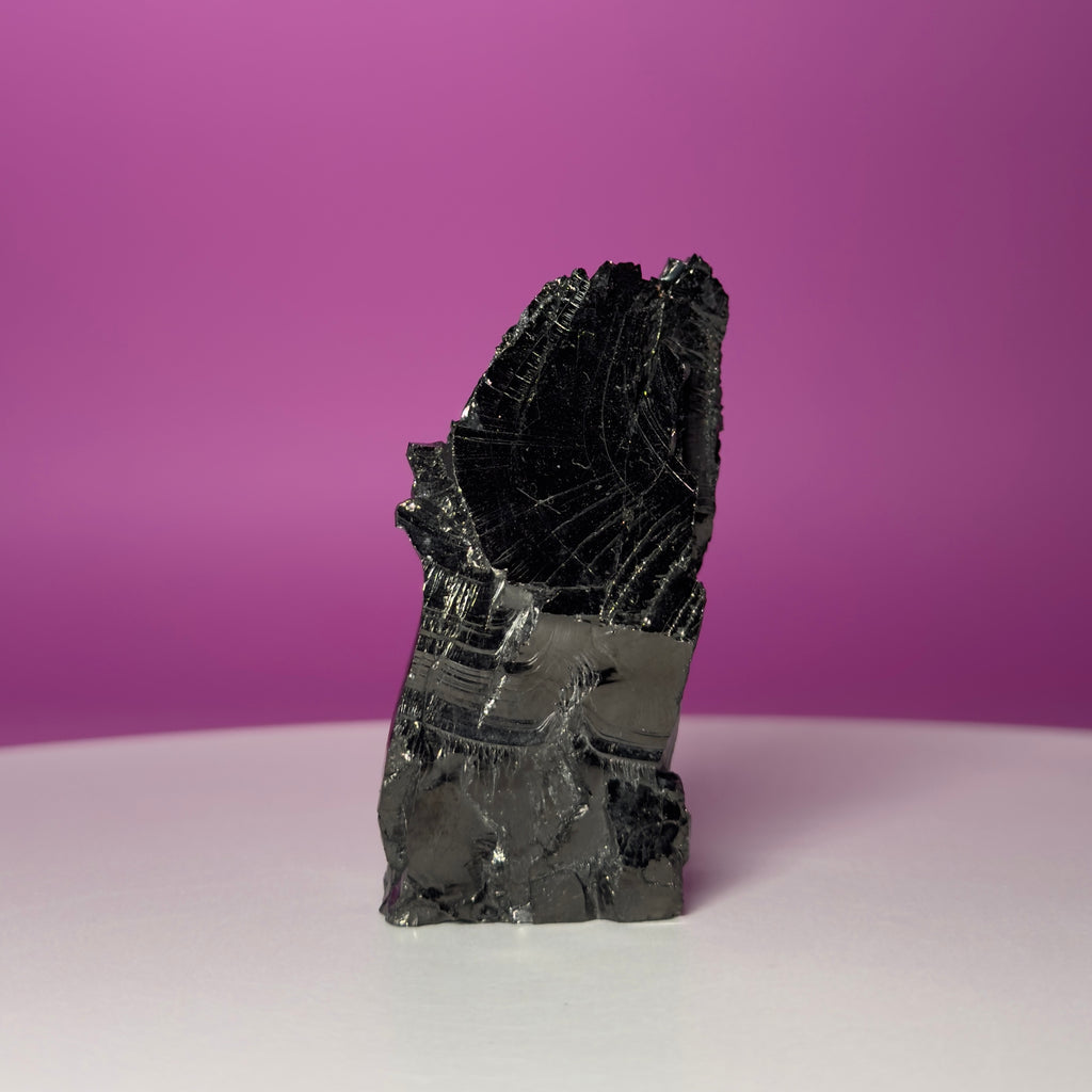 Colombian Elite Shungite Mineral Specimen – 50g