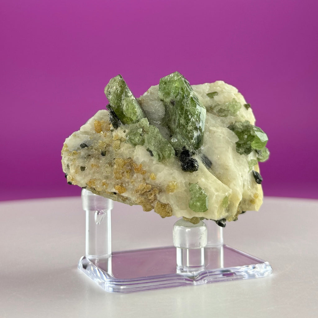 Green Diopside Crystal Specimen with Acrylic Display Stand