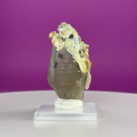 Himalayan Smoky Quartz & Feldspar Specimen