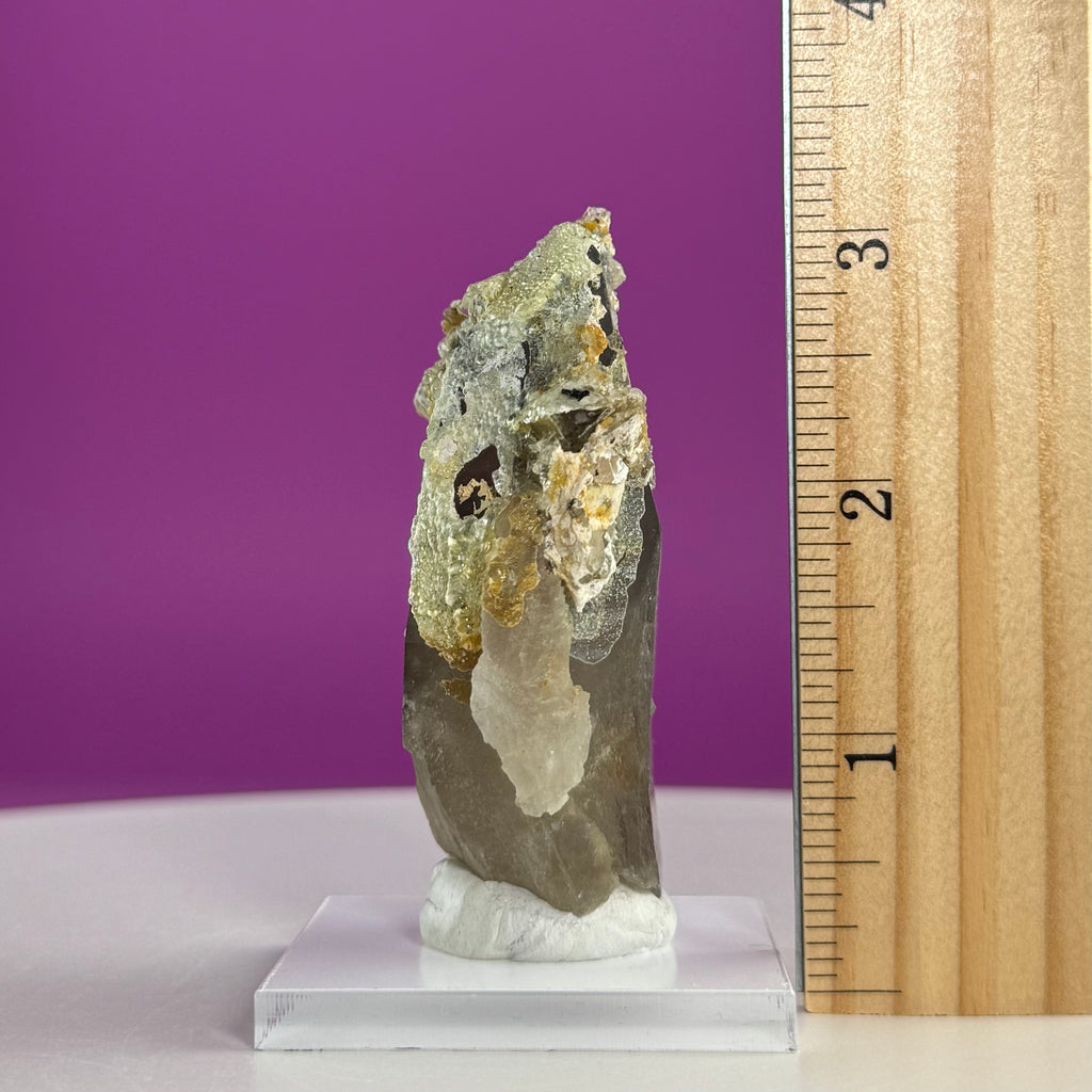 Himalayan Smoky Quartz & Feldspar Specimen