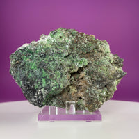 Conichalcite Mineral Specimen from Mexico with Display Stand