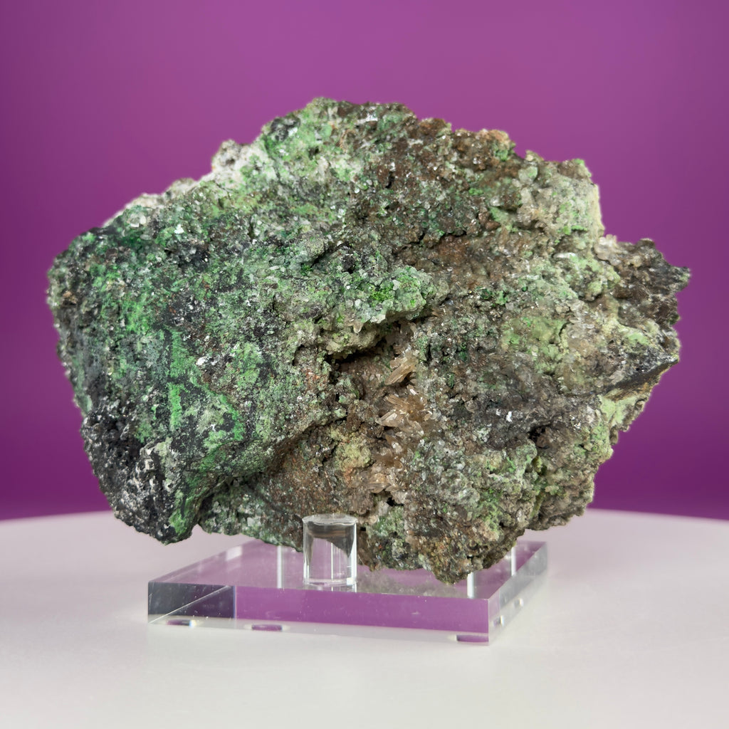 Conichalcite Mineral Specimen from Mexico with Display Stand