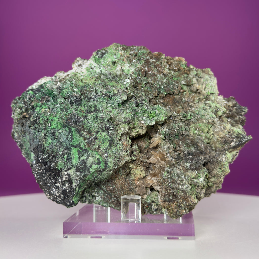 Conichalcite Mineral Specimen from Mexico with Display Stand