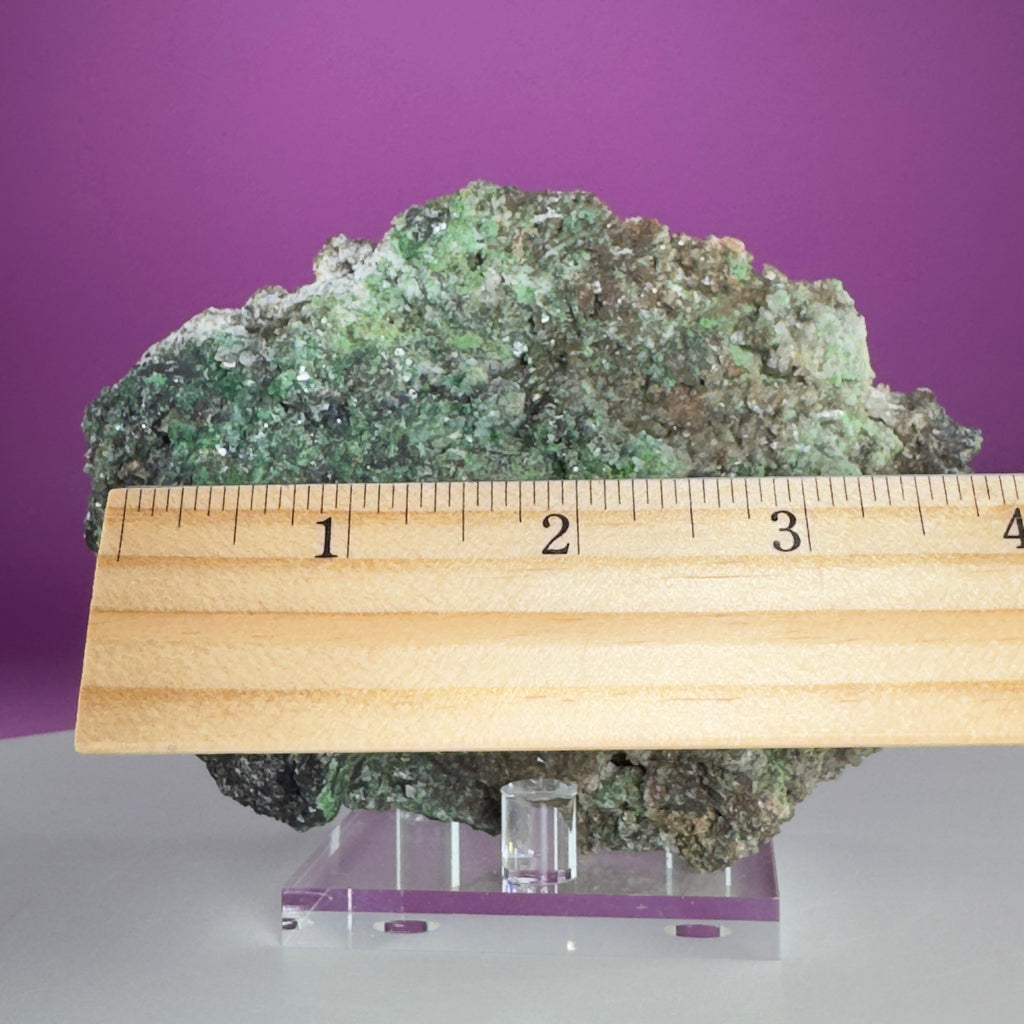 Conichalcite Mineral Specimen from Mexico with Display Stand