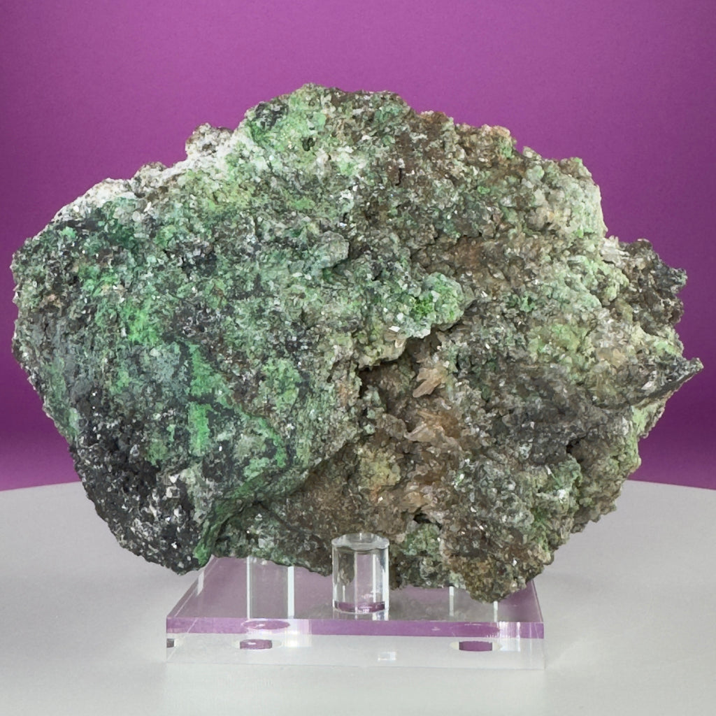 Conichalcite Mineral Specimen from Mexico with Display Stand