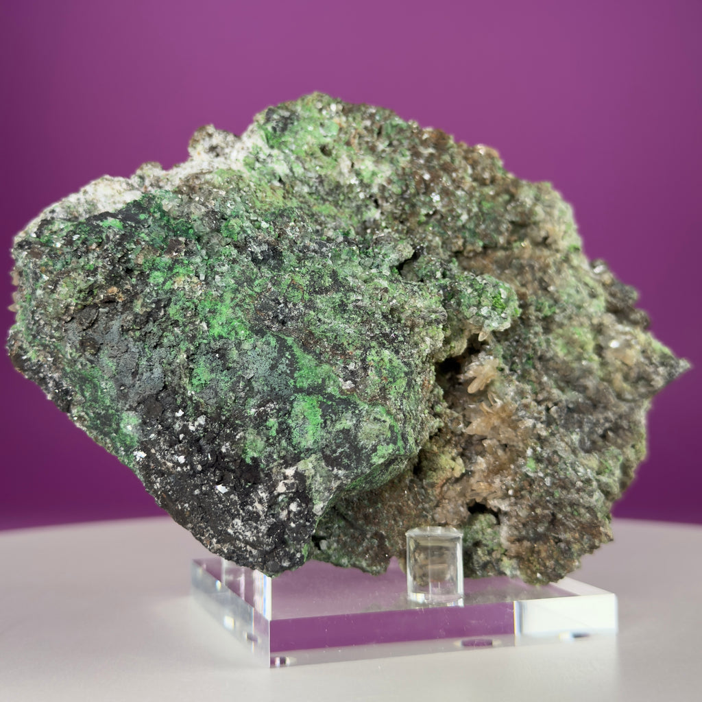 Conichalcite Mineral Specimen from Mexico with Display Stand