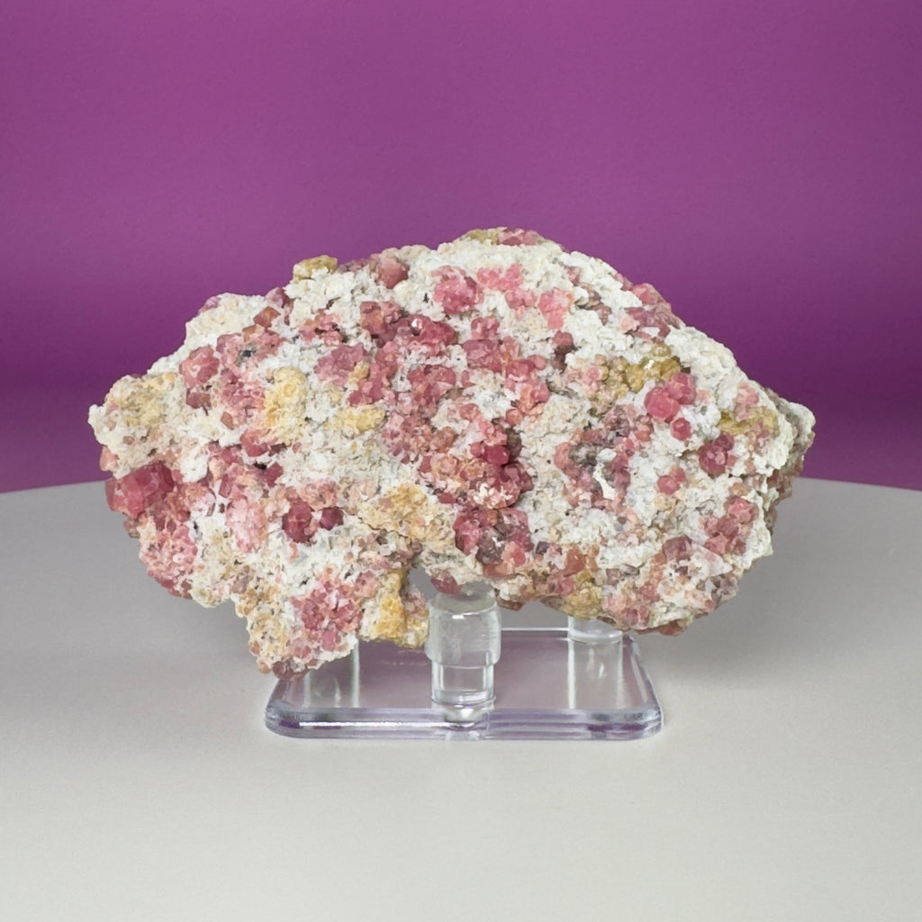 Pink Garnet Specimen from Mexico with Display Stand