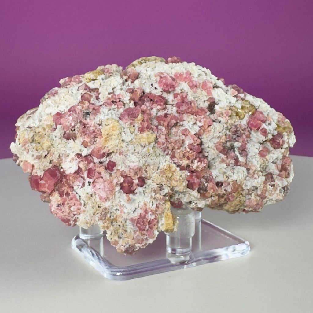 Pink Garnet Specimen from Mexico with Display Stand