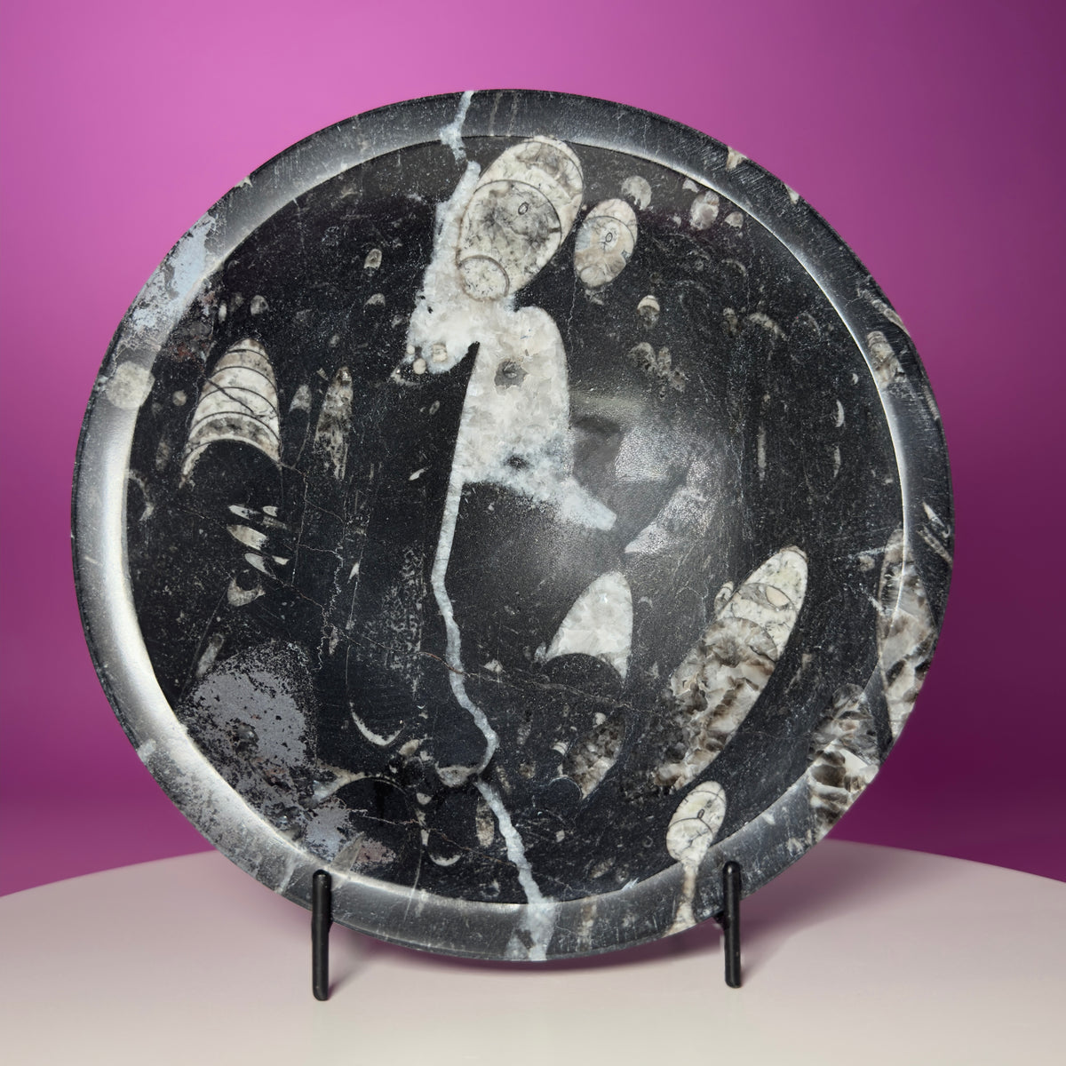 Orthoceras Fossil Bowl Black Limestone Decorative Dish with Stand 748g