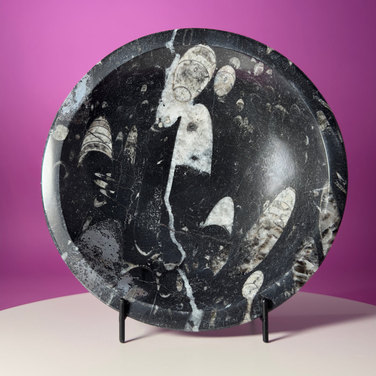 Orthoceras Fossil Bowl Black Limestone Decorative Dish with Stand 748g