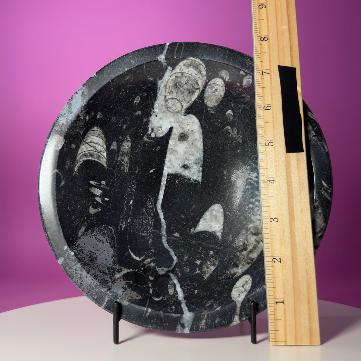 Orthoceras Fossil Bowl Black Limestone Decorative Dish with Stand 748g