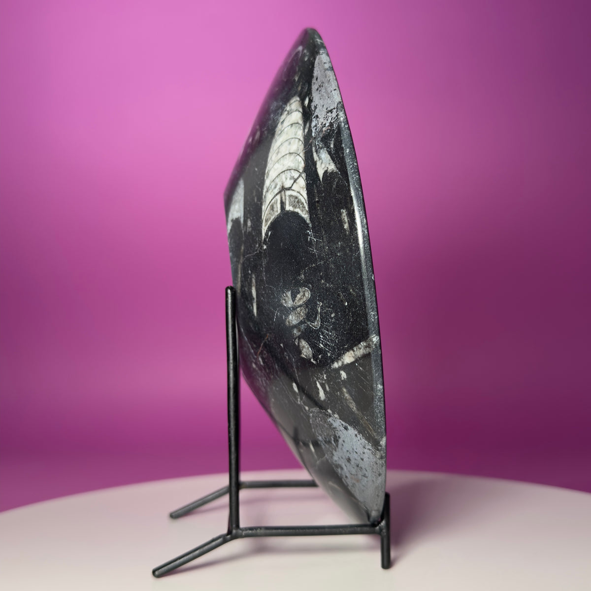 Orthoceras Fossil Bowl Black Limestone Decorative Dish with Stand 748g