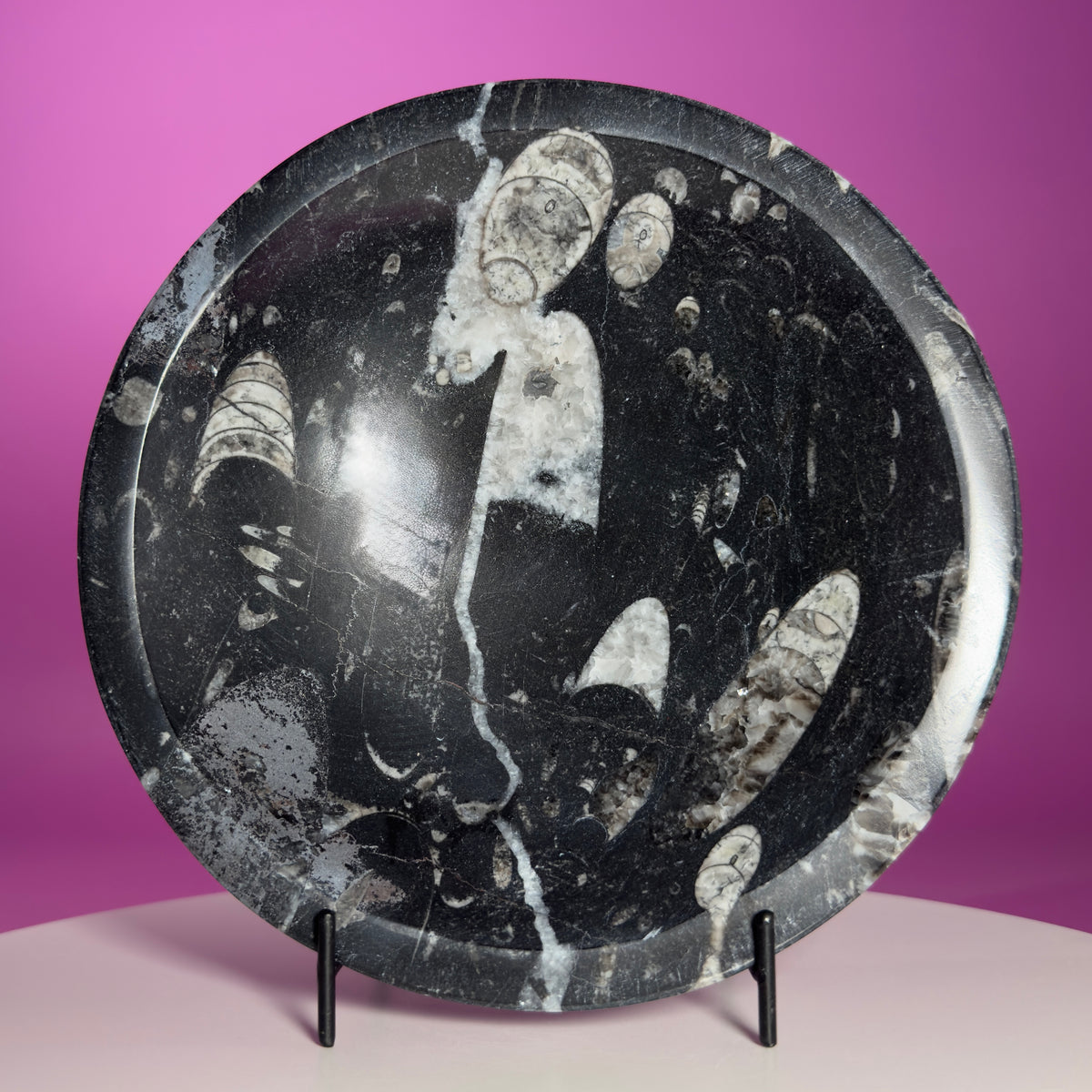 Orthoceras Fossil Bowl Black Limestone Decorative Dish with Stand 748g