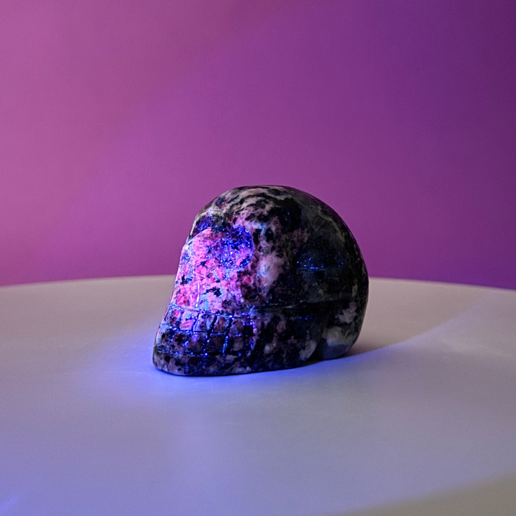 Australian Orbiculite Skull 195g | UV Reactive Crystal Skull | Natural Orbicular Stone Carving