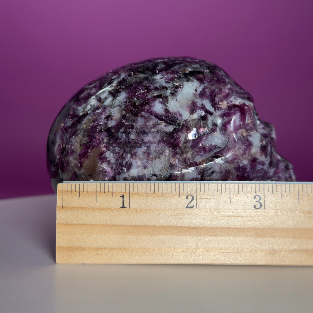 Gem Lepidolite & Smoky Quartz Collector Skull – 1,061g High Gloss