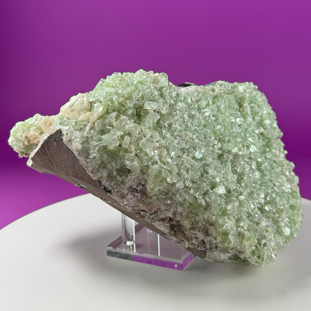 Large Zeolite Apophyllite Statement Cluster with Stand, 8+ Pounds