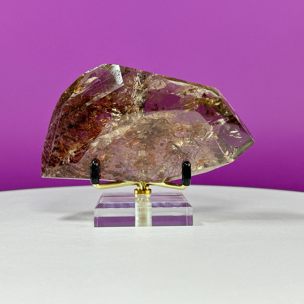 Black Rutile Garden Quartz Free Form on Gold Stand | Lodolite Quartz Collector Display Specimen