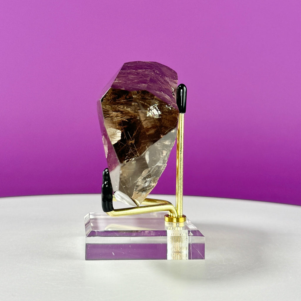Black Rutile Garden Quartz Free Form on Gold Stand | Lodolite Quartz Collector Display Specimen