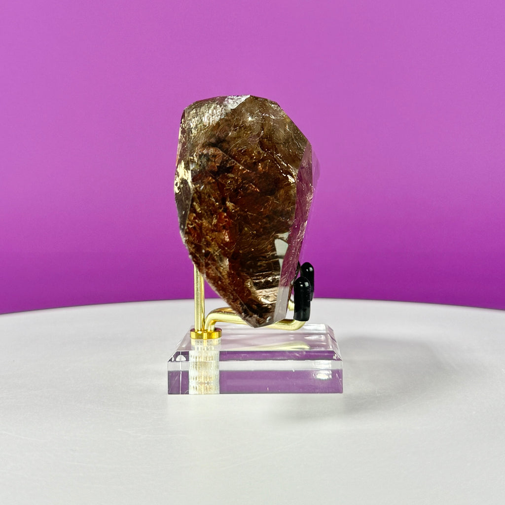 Black Rutile Garden Quartz Free Form on Gold Stand | Lodolite Quartz Collector Display Specimen