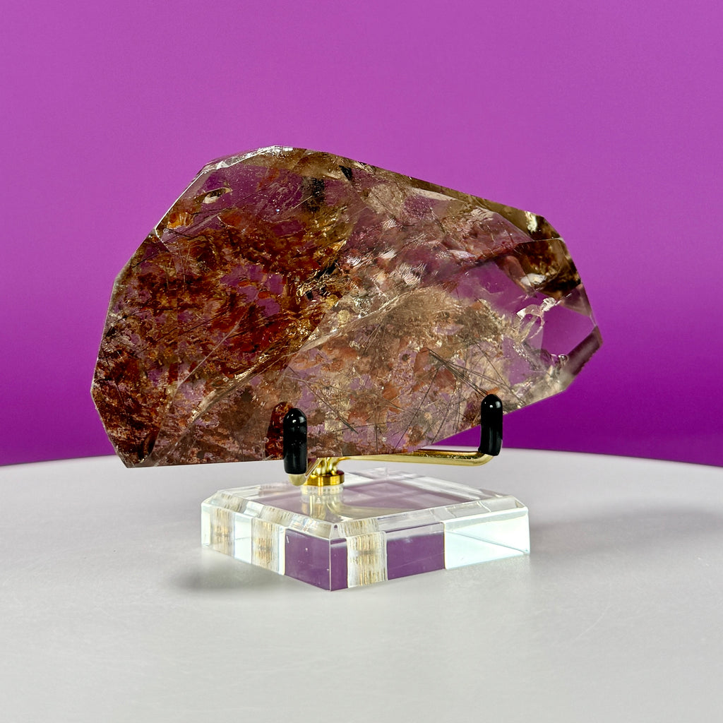 Black Rutile Garden Quartz Free Form on Gold Stand | Lodolite Quartz Collector Display Specimen