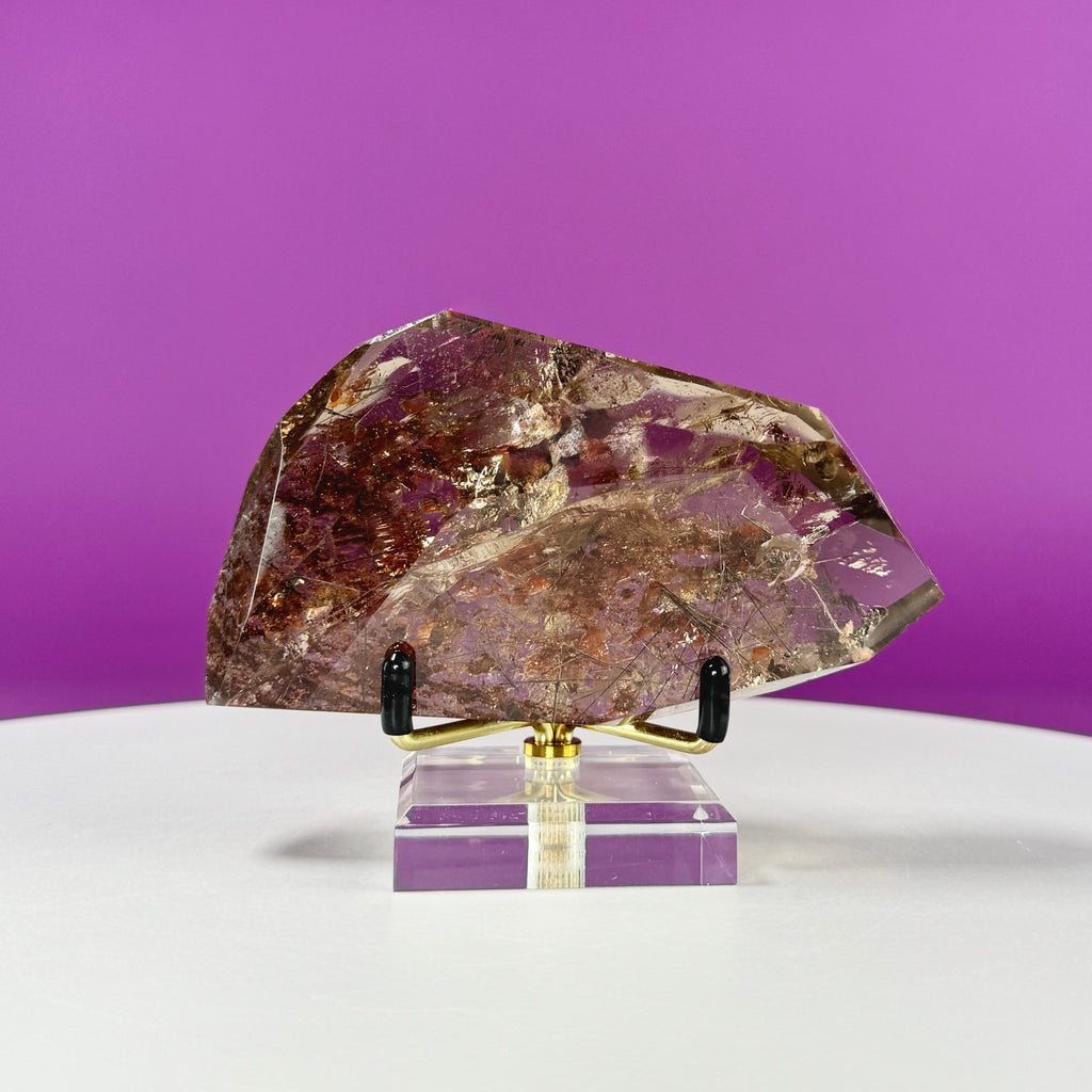 Black Rutile Garden Quartz Free Form on Gold Stand | Lodolite Quartz Collector Display Specimen