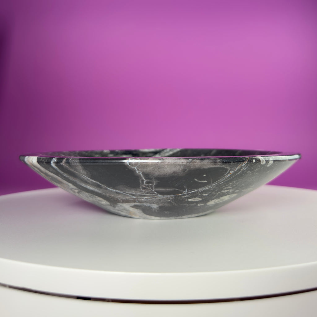 Orthoceras Fossil Bowl | Ancient Marine Fossil Stone Display Dish