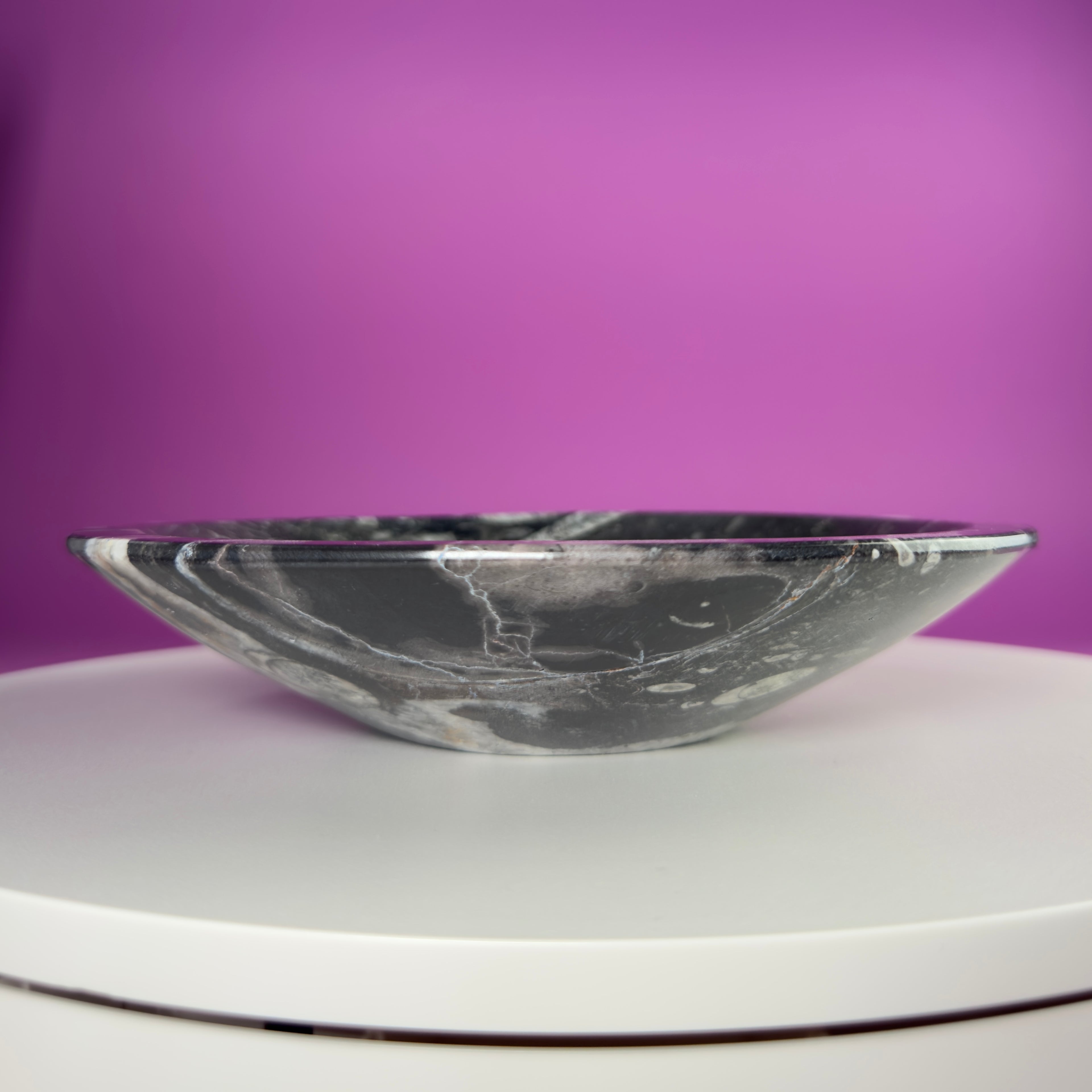 Orthoceras Fossil Bowl | Ancient Marine Fossil Stone Display Dish