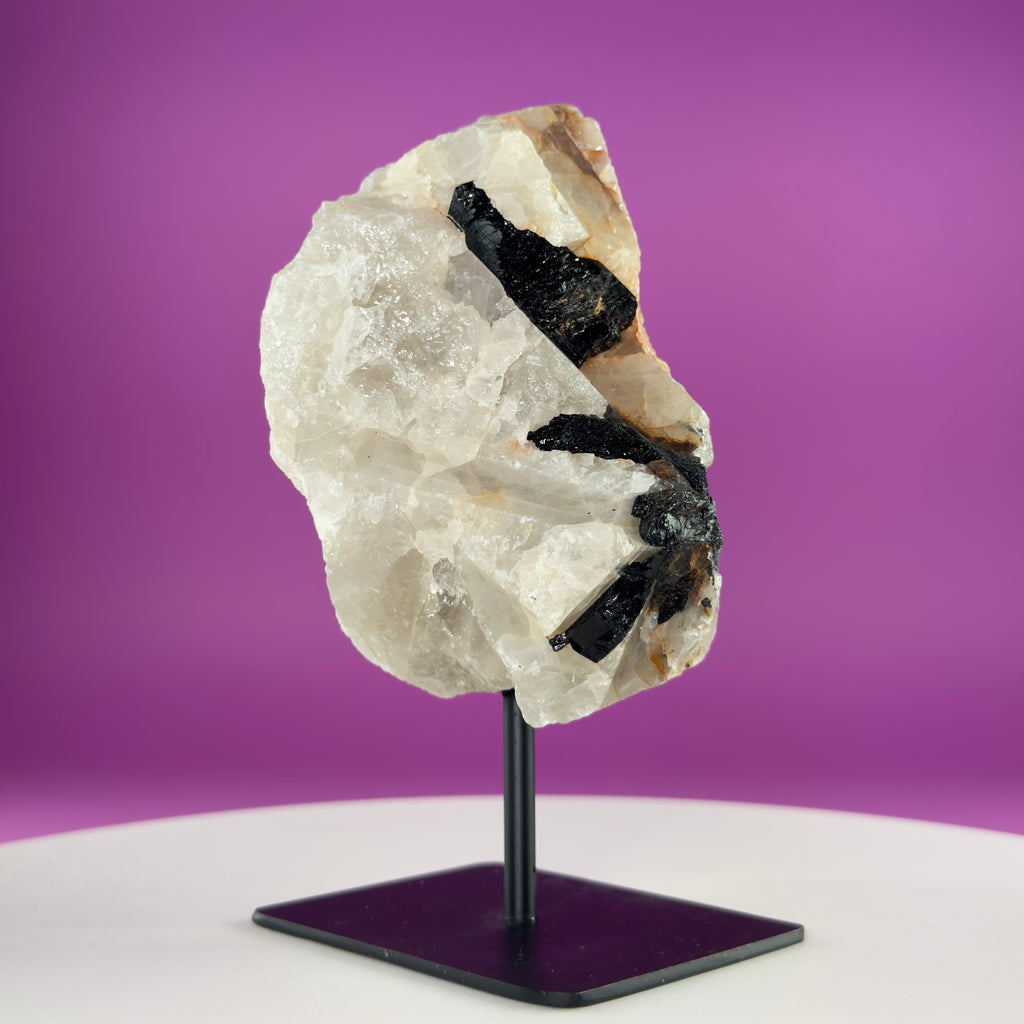 Black Tourmaline in Quartz Matrix on Stand, 1127g Akoni's Misfit Crystal