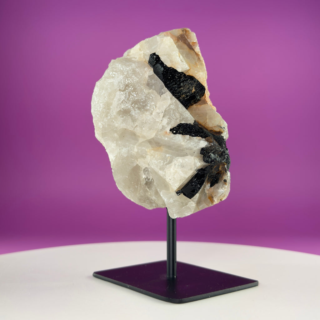 Black Tourmaline in Quartz Matrix on Stand, 1127g Akoni's Misfit Crystal