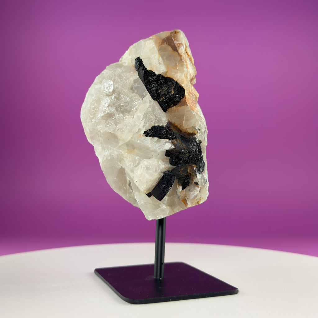 Black Tourmaline in Quartz Matrix on Stand, 1127g Akoni's Misfit Crystal