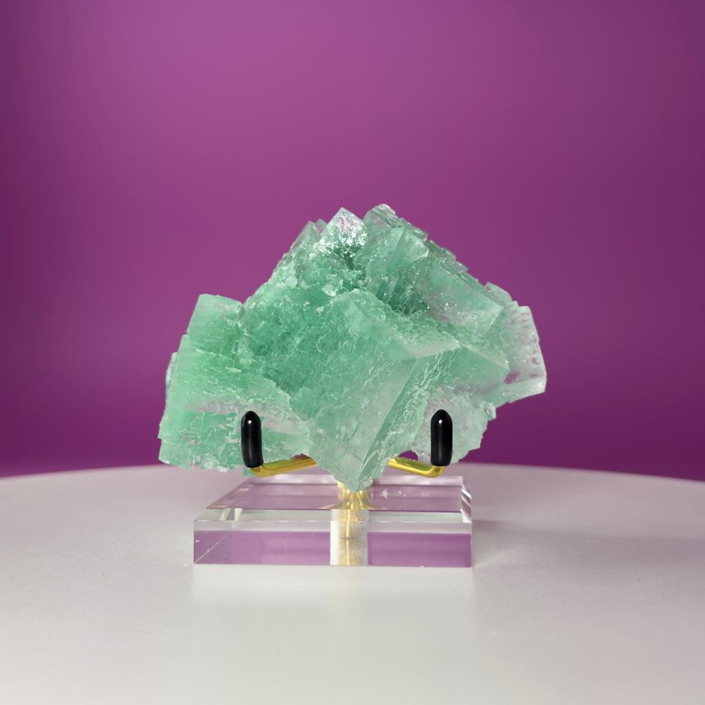 Halite with Paratacamite from Rudna Mine, Poland | Collector Mineral Specimen with Stand