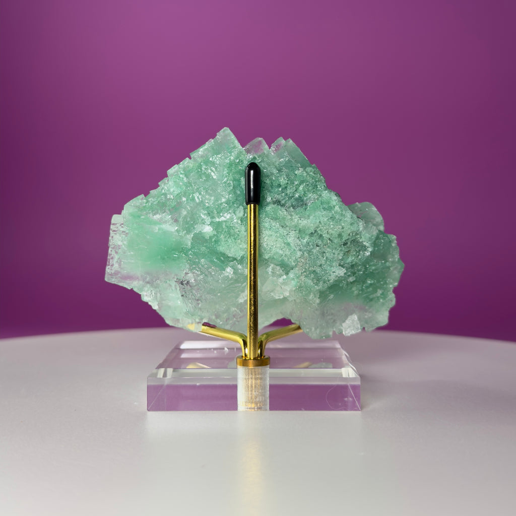 Halite with Paratacamite from Rudna Mine, Poland | Collector Mineral Specimen with Stand