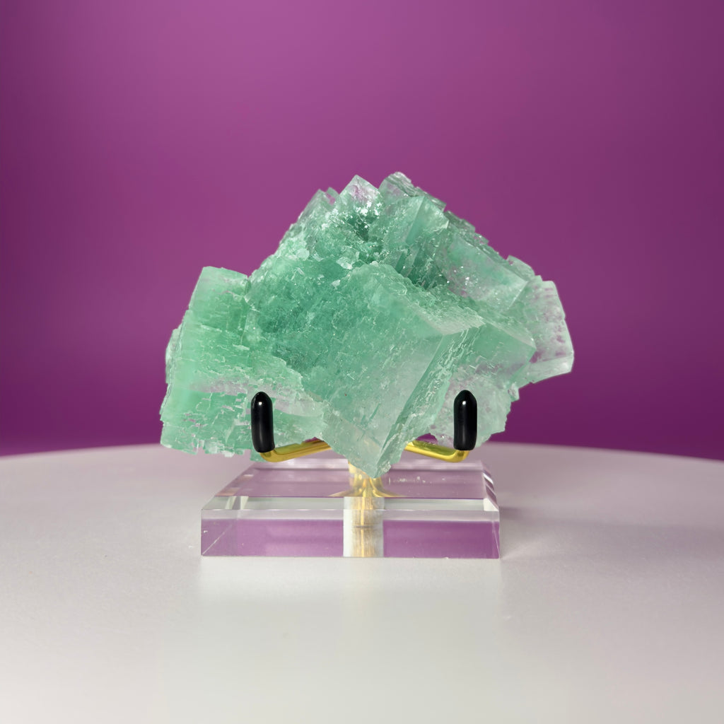 Halite with Paratacamite from Rudna Mine, Poland | Collector Mineral Specimen with Stand