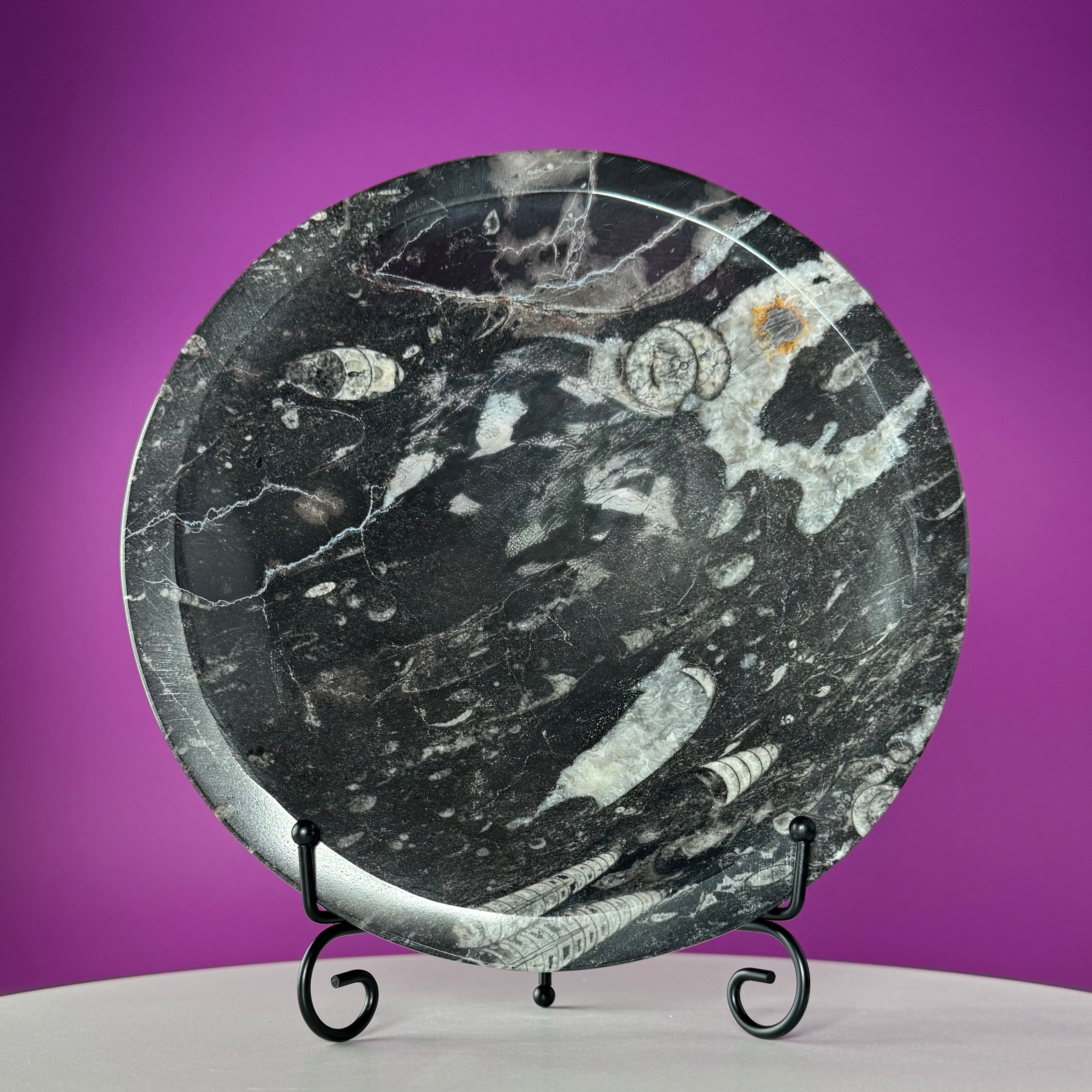 Orthoceras Fossil Bowl | Ancient Marine Fossil Stone Display Dish