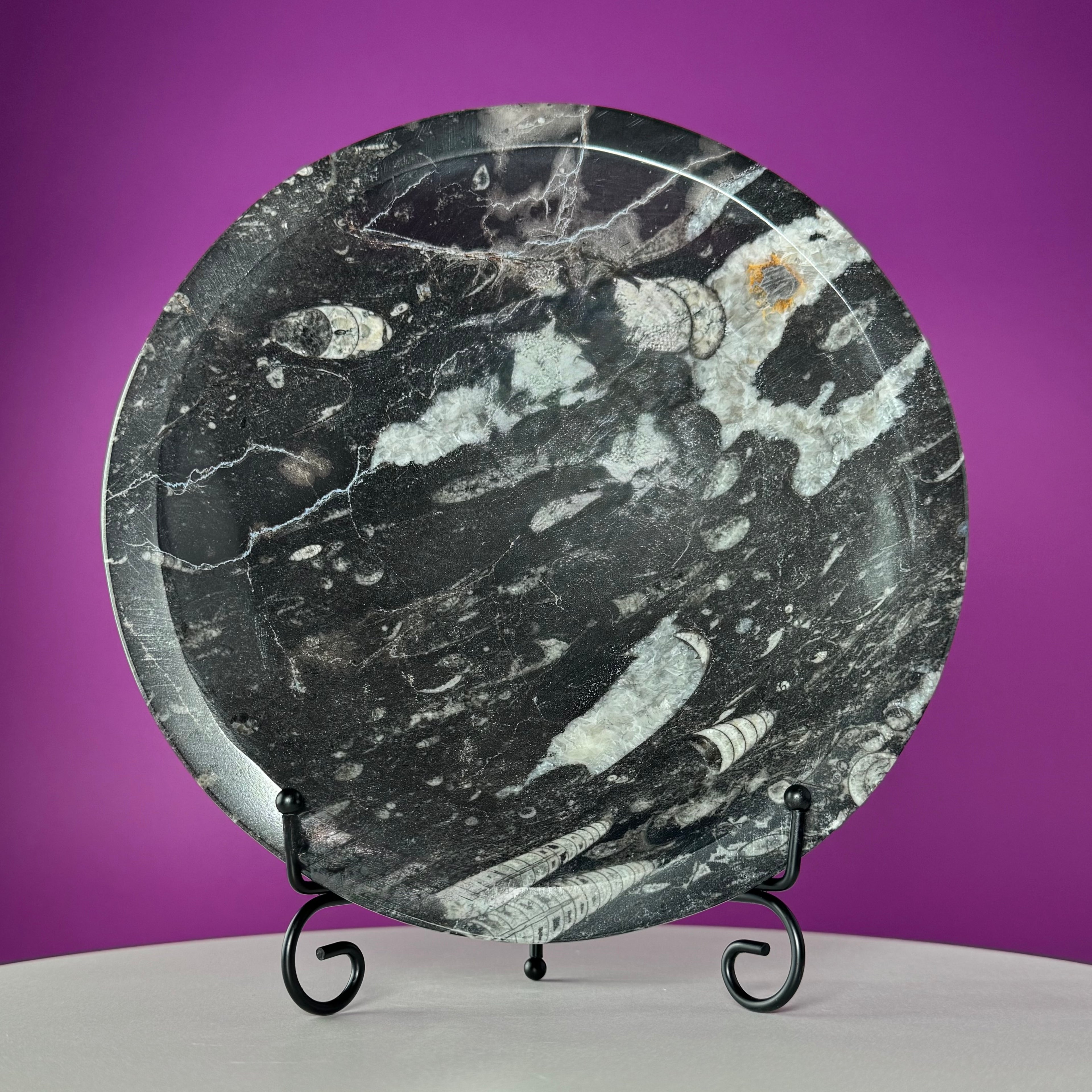 Orthoceras Fossil Bowl | Ancient Marine Fossil Stone Display Dish
