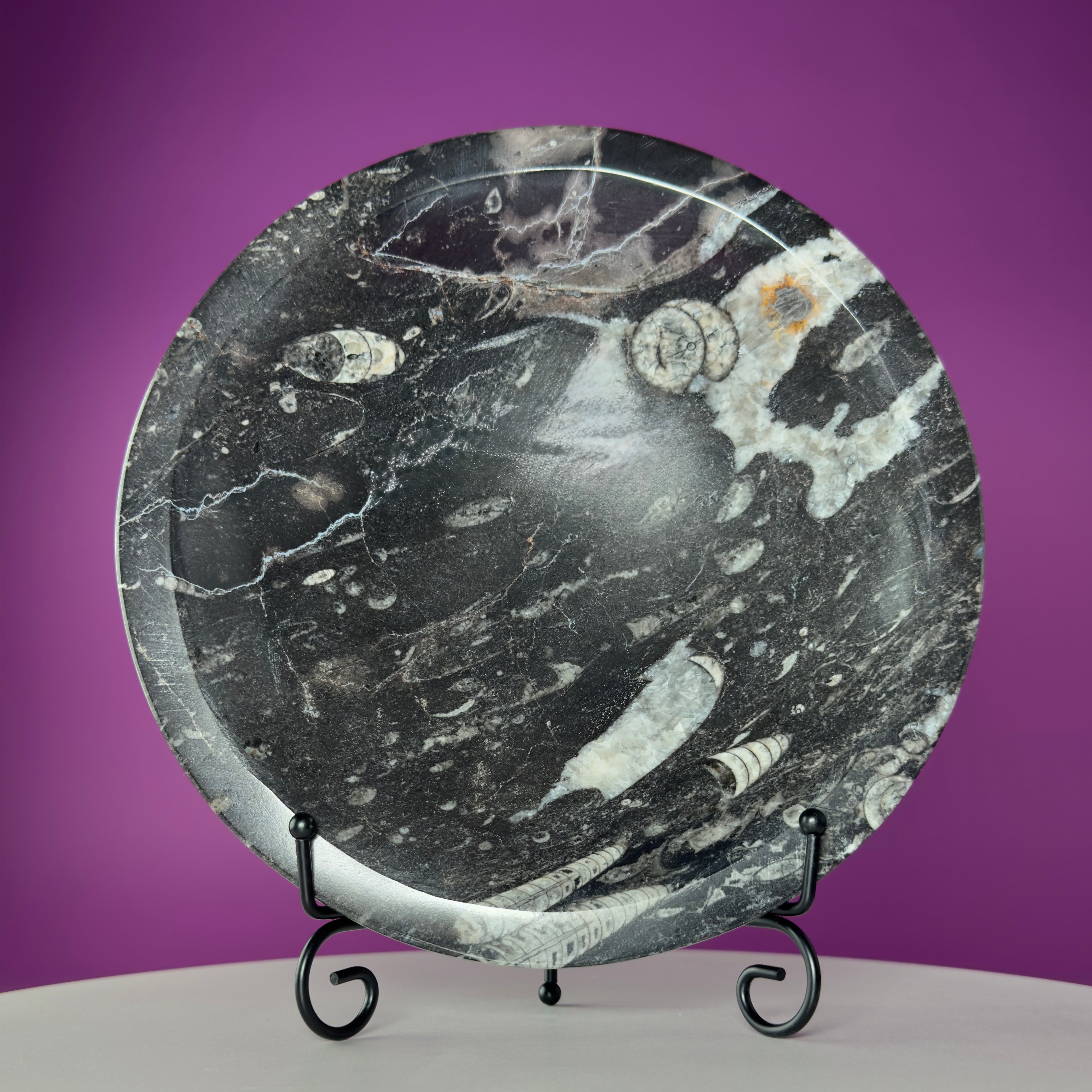 Orthoceras Fossil Bowl | Ancient Marine Fossil Stone Display Dish