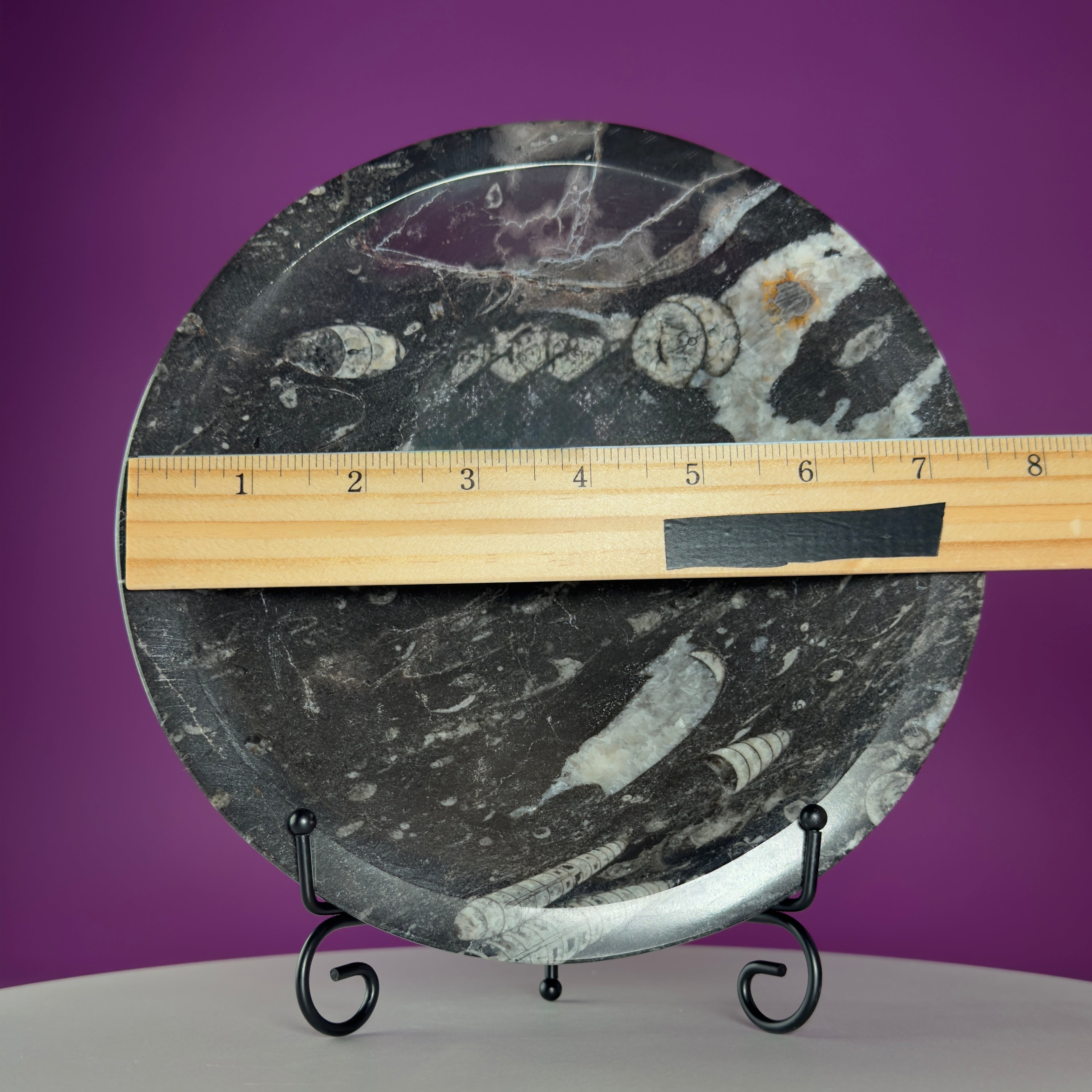 Orthoceras Fossil Bowl | Ancient Marine Fossil Stone Display Dish