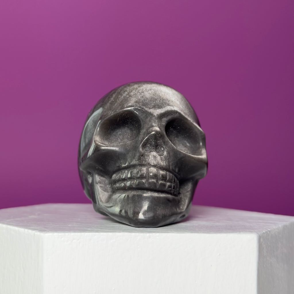 Silver Sheen Obsidian Skull Carving | Polished Crystal Skull for Protection & Grounding