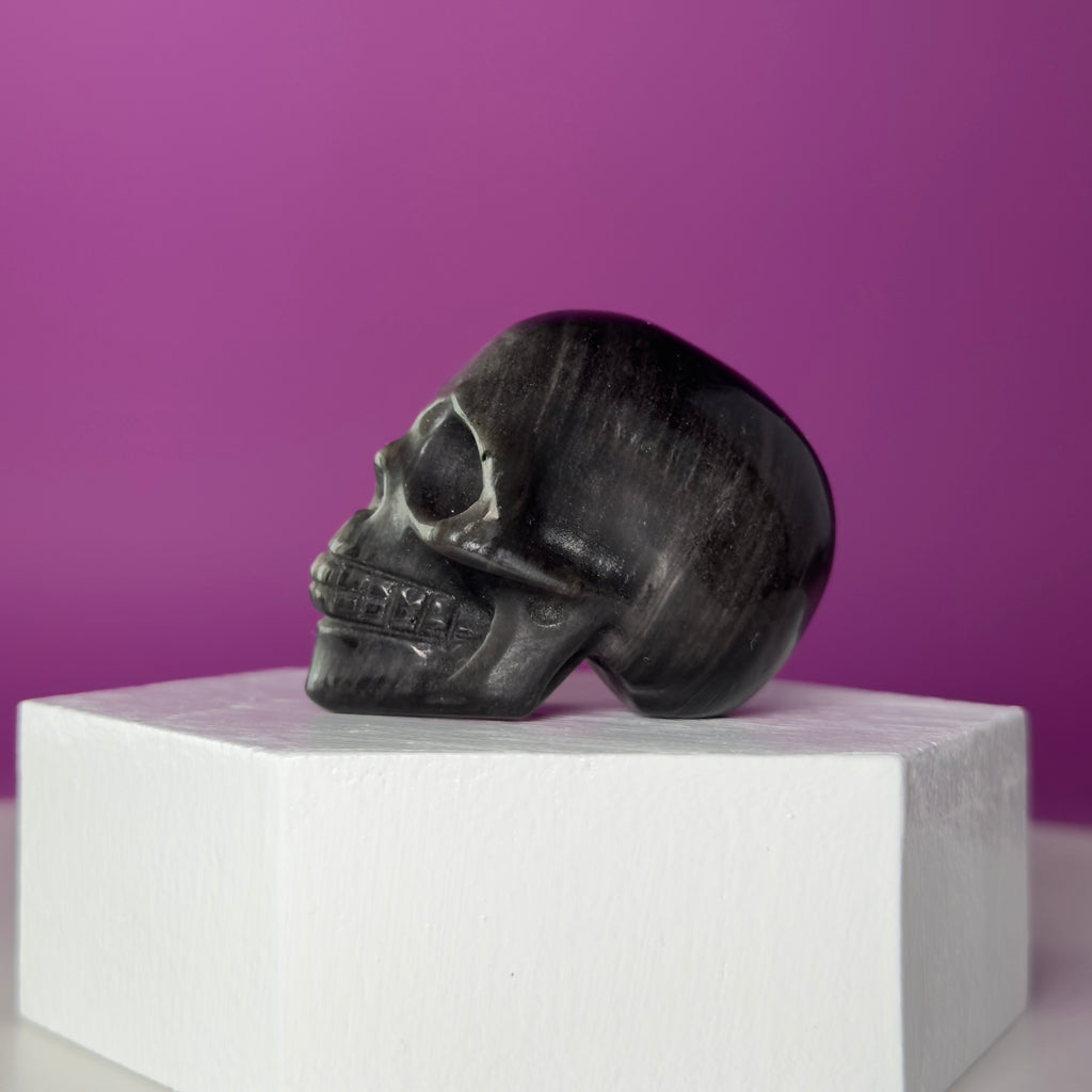 Silver Sheen Obsidian Skull Carving | Polished Crystal Skull for Protection & Grounding