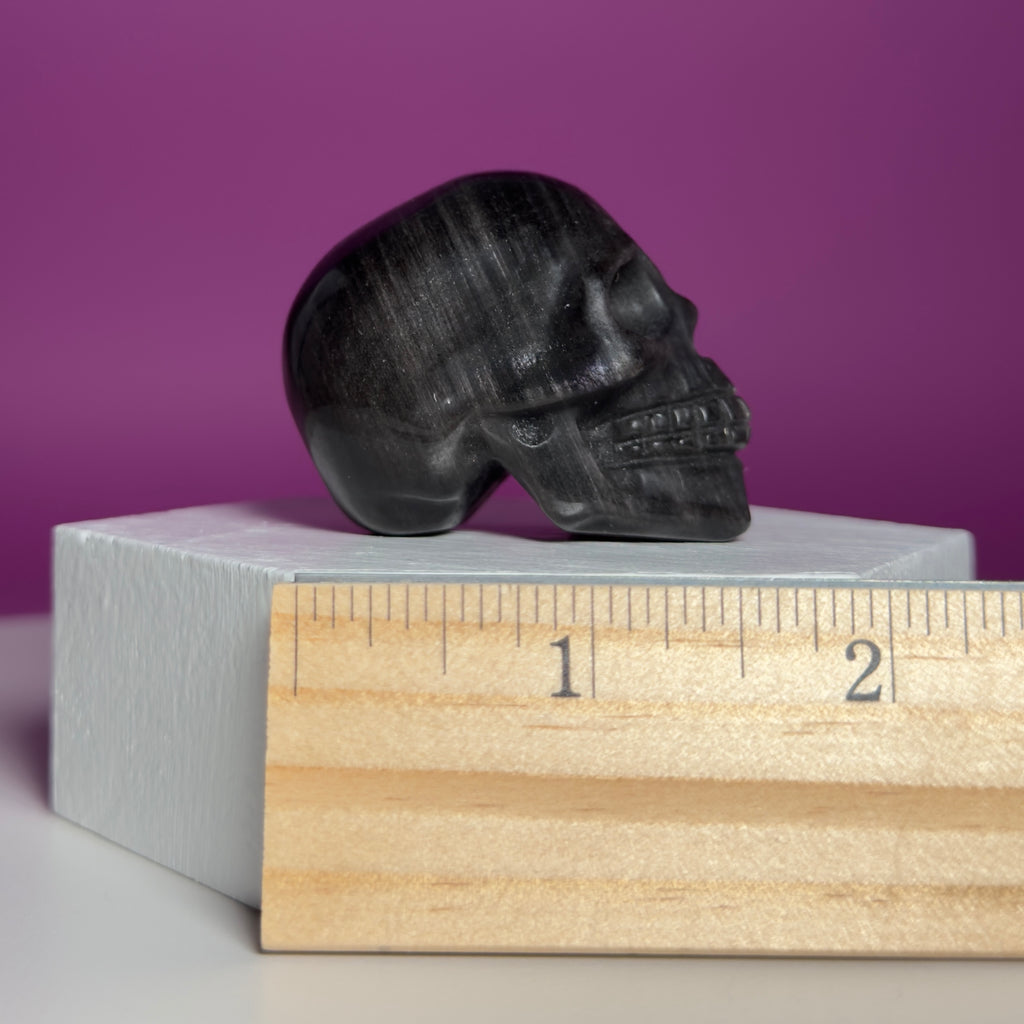 Silver Sheen Obsidian Skull Carving | Polished Crystal Skull for Protection & Grounding