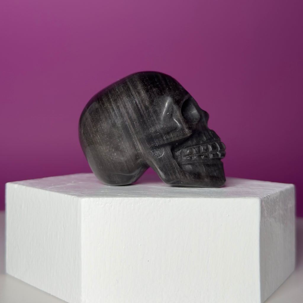 Silver Sheen Obsidian Skull Carving | Polished Crystal Skull for Protection & Grounding