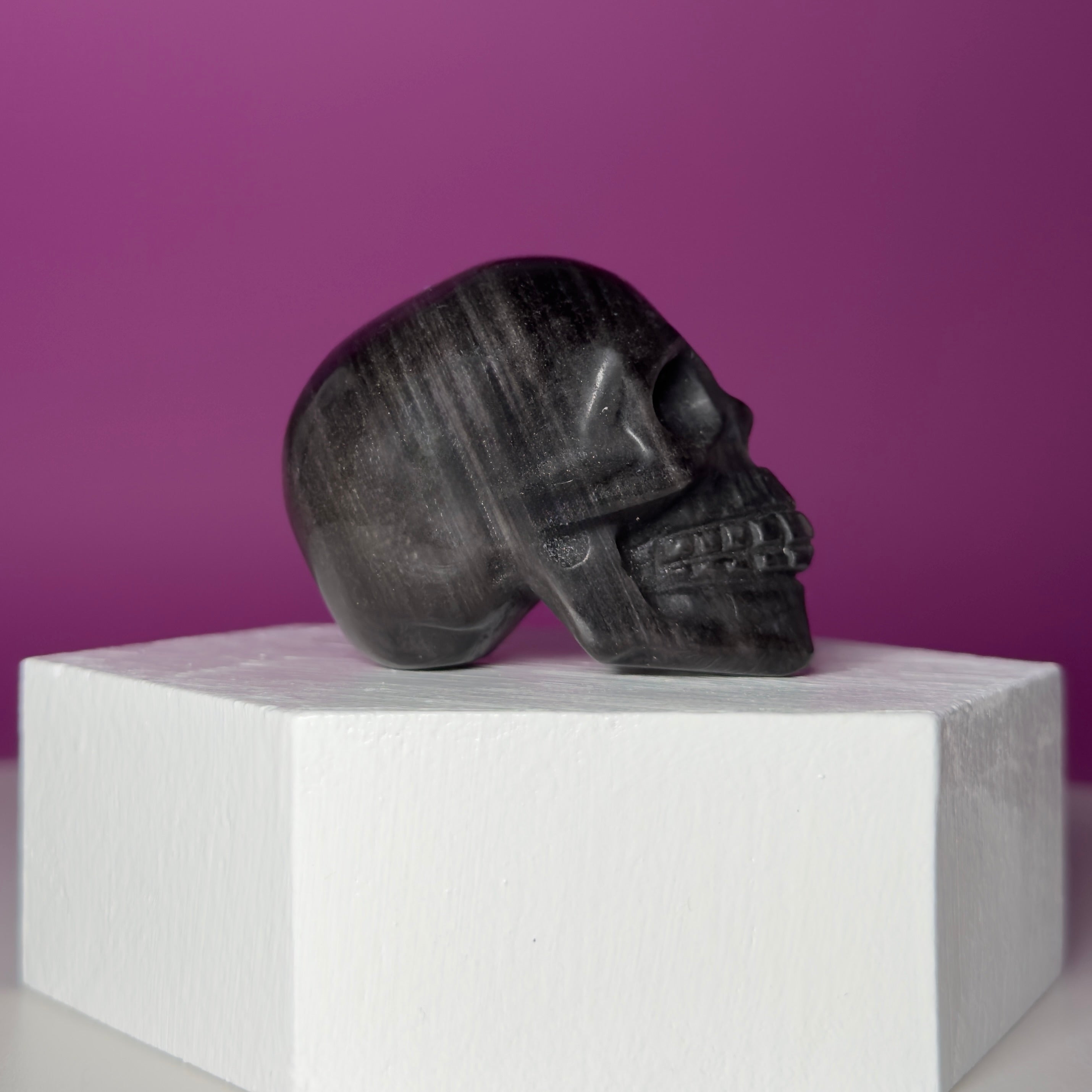 Silver Sheen Obsidian Skull Carving | Polished Crystal Skull for Protection & Grounding
