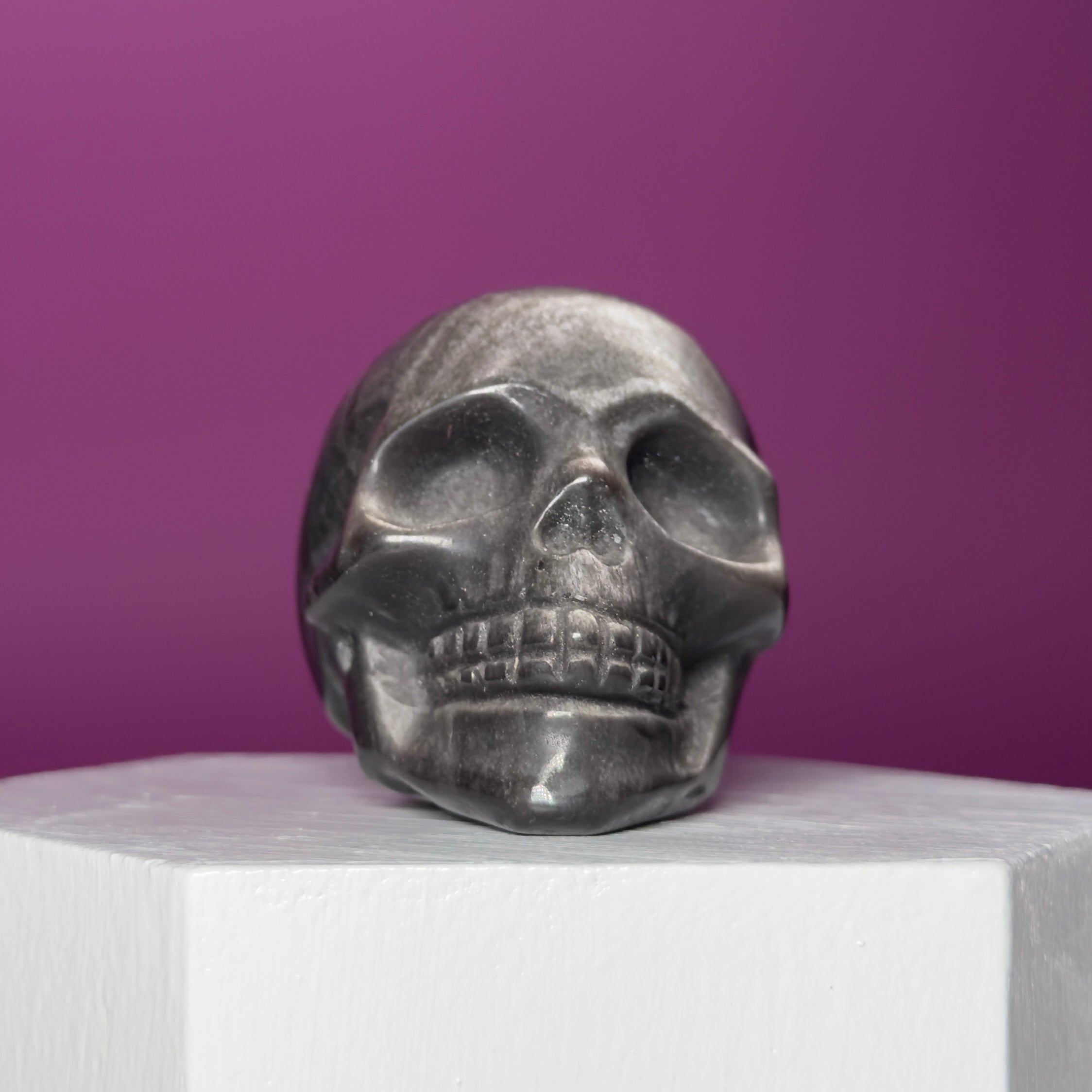 Silver Sheen Obsidian Skull Carving | Polished Crystal Skull for Protection & Grounding