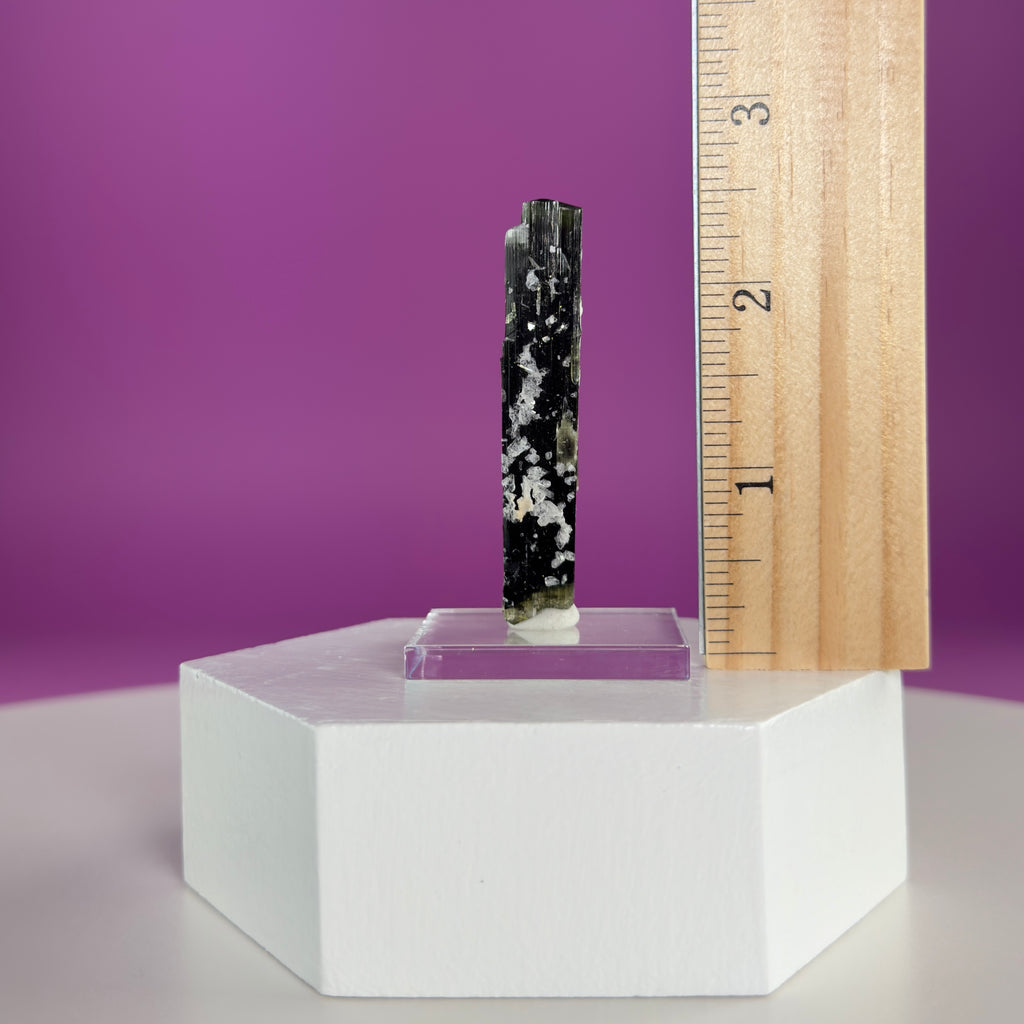 Stak Nala Tourmaline in Matrix Specimen – Pakistan Collector Crystal with Display Base
