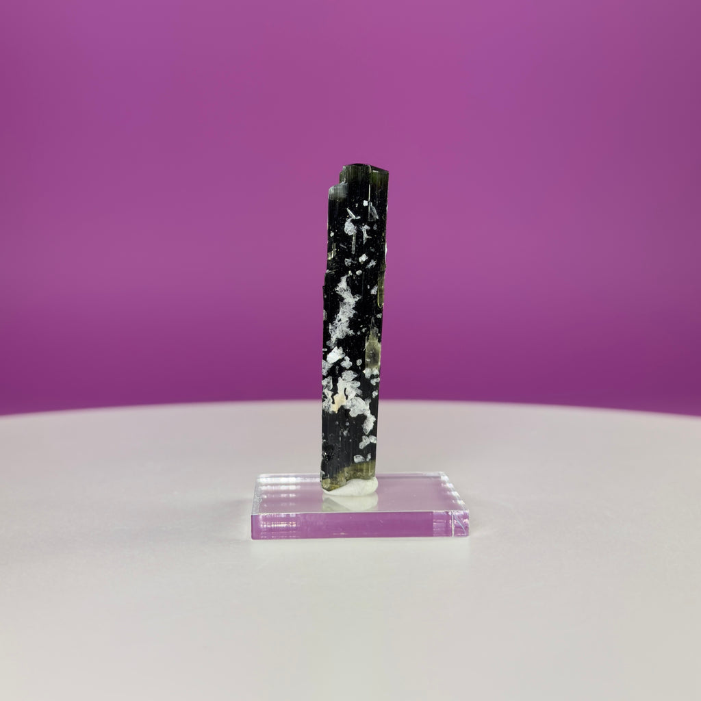 Stak Nala Tourmaline in Matrix Specimen – Pakistan Collector Crystal with Display Base