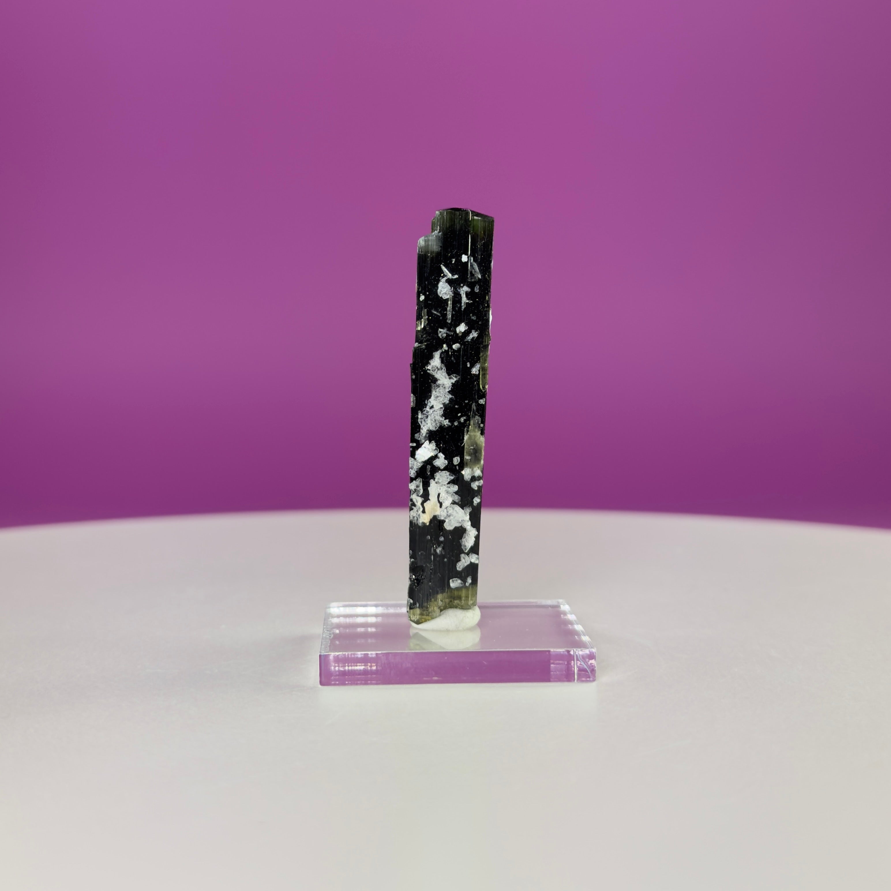 Stak Nala Tourmaline in Matrix Specimen – Pakistan Collector Crystal with Display Base