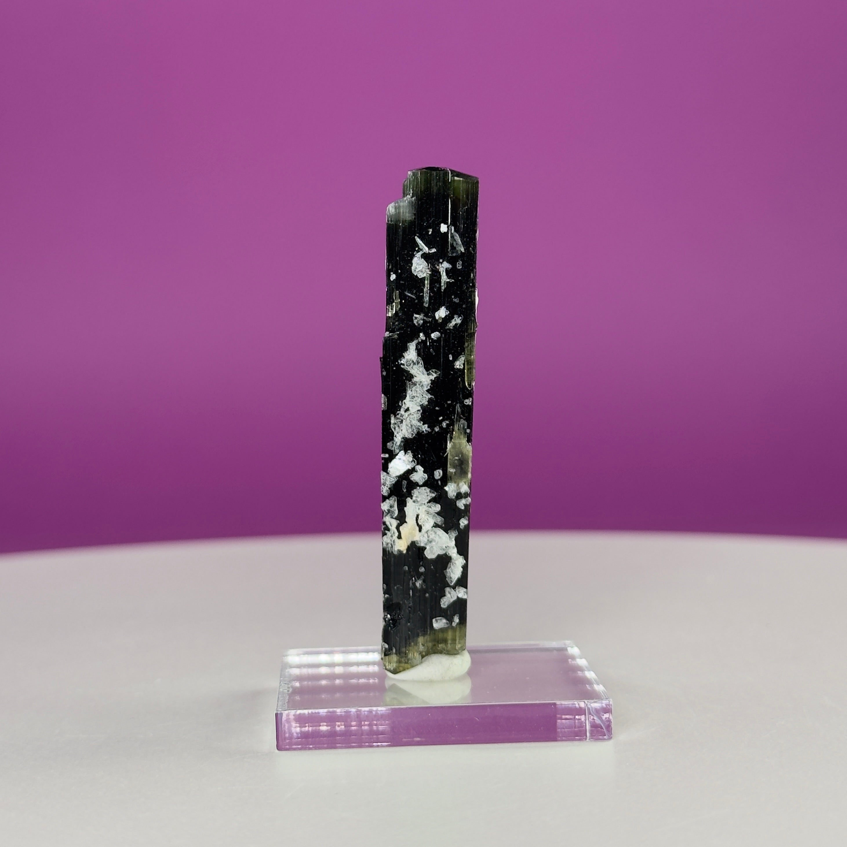 Stak Nala Tourmaline in Matrix Specimen – Pakistan Collector Crystal with Display Base