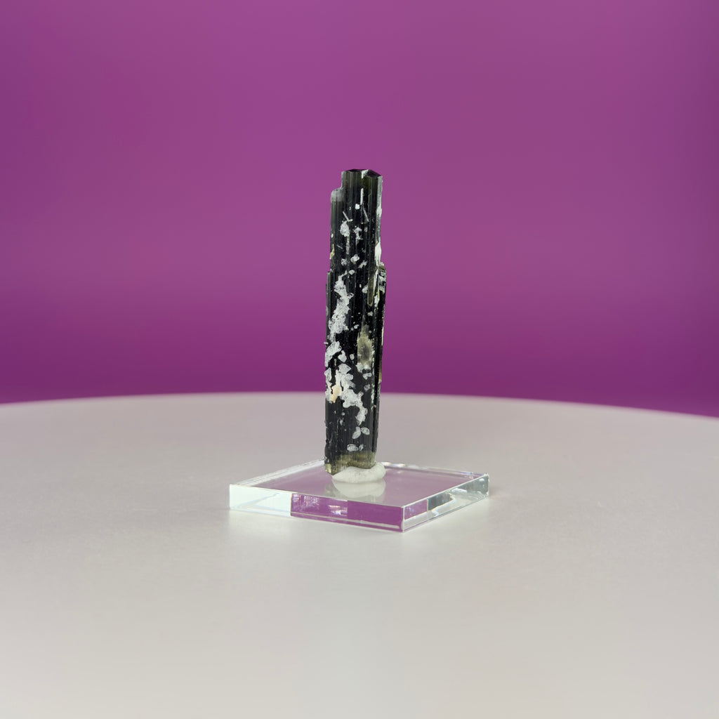 Stak Nala Tourmaline in Matrix Specimen – Pakistan Collector Crystal with Display Base